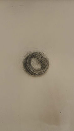 Spencer Finch, "Red (Lock of Emily Dickinson's Hair)." Ambrotype, 6.5 x 8.5 inches, framed. Published by The ƒ/Ø Project, 2018.