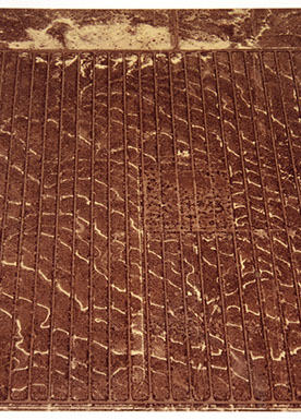 David Maisel portfolio, "Proving Ground," albumen print, 9 of 9, 2017.