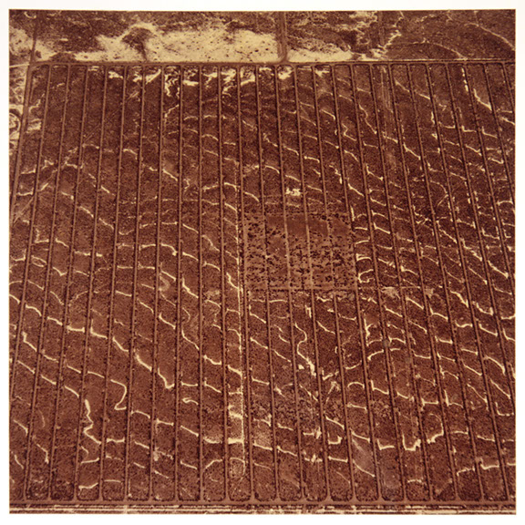 David Maisel portfolio, "Proving Ground," albumen print, 9 of 9, 2017.