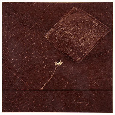 David Maisel portfolio, "Proving Ground," albumen print, 2 of 9, 2017.