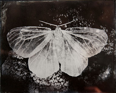 Michelle Stuart, "Night Over Alice Springs (detail)," 9 ambrotypes, panel A2, 8x10 inches each. Published by The ƒ/Ø Project, 2018.