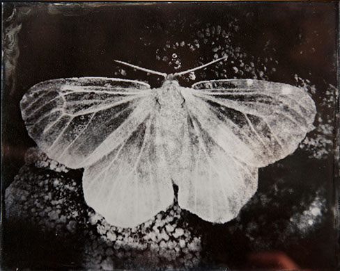 Michelle Stuart, "Night Over Alice Springs (detail)," 9 ambrotypes, panel A2, 8x10 inches each. Published by The ƒ/Ø Project, 2018.