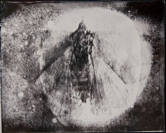 Michelle Stuart, "Night Over Alice Springs (detail)," 9 ambrotypes, panel B1, 8x10 inches each. Published by The ƒ/Ø Project, 2018.