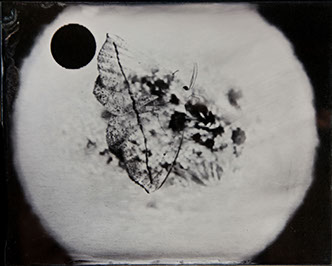 Michelle Stuart, "Night Over Alice Springs (detail)," 9 ambrotypes, panel B3, 8x10 inches each. Published by The ƒ/Ø Project, 2018.