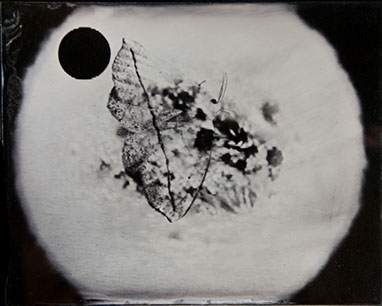 Michelle Stuart, "Night Over Alice Springs (detail)," 9 ambrotypes, panel B3, 8x10 inches each. Published by The ƒ/Ø Project, 2018.