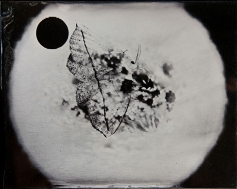 Michelle Stuart, "Night Over Alice Springs (detail)," 9 ambrotypes, panel B3, 8x10 inches each. Published by The ƒ/Ø Project, 2018.