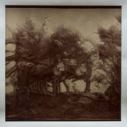 Matthew Ritchie, "Generation VI" unique albumen print, 16x16 inches on 20x24 inch sheet. Published by The ƒ/Ø Project, 2022.