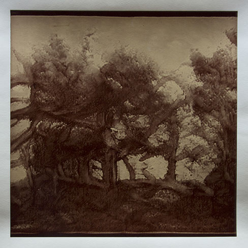 Matthew Ritchie, "Generation VI" unique albumen print, 16x16 inches on 20x24 inch sheet. Published by The ƒ/Ø Project, 2022.