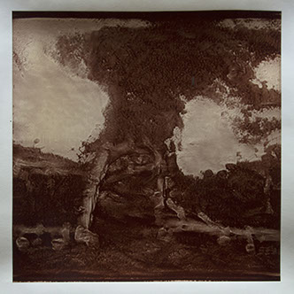 Matthew Ritchie, "Generation VII" unique albumen print, 16x16 inches on 20x24 inch sheet. Published by The ƒ/Ø Project, 2022.