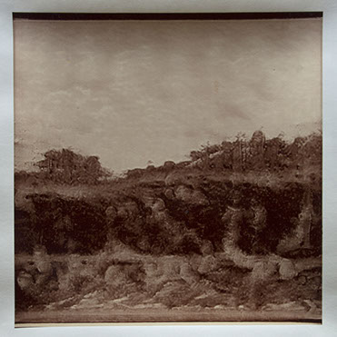 Matthew Ritchie, "Generation VIII" unique albumen print, 16x16 inches on 20x24 inch sheet. Published by The ƒ/Ø Project, 2022.