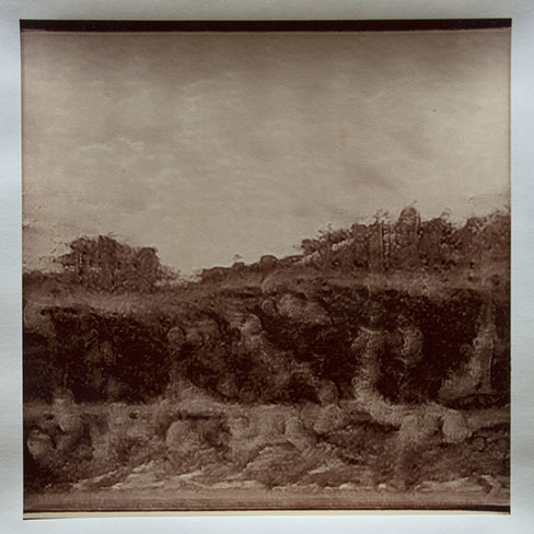 Matthew Ritchie, "Generation VIII" unique albumen print, 16x16 inches on 20x24 inch sheet. Published by The ƒ/Ø Project, 2022.